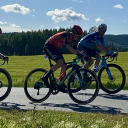 Image: Martin Tjøtta