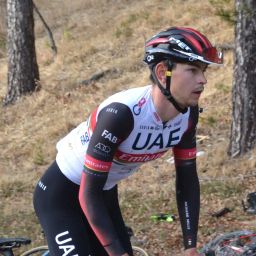 Imagen: Alessandro Covi