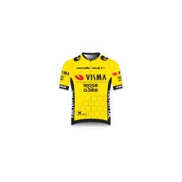 Team Team Visma | Lease A Bike maillot